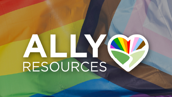 Ally Resources