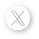X (Twitter) Icon